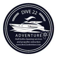 logo dive